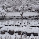 홍천산양목장 이미지