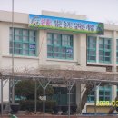 일로농협 Daum카페