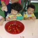 한울농장 이미지