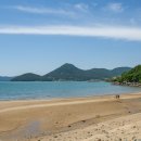 죽림해수욕장 네이버블로그