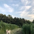 거산동물병원 이미지