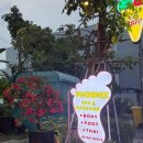 스파피닉스 | 베트남 다낭 마사지/스파 내돈내산 후기 정리