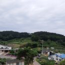 현정이네 농장 이미지