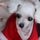 은비농장 이미지