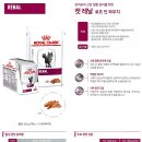 위드피시 이미지