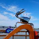 가현산낚시터 이미지