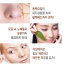 동백화장품