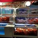 홍영자수산 이미지