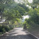 성공식당 이미지