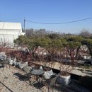 오창농장 이미지