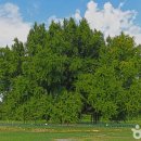 취병낚시터 이미지