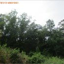 지둔2리 마을회관 이미지