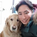 동물농장 이미지