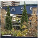 현대경양식 이미지