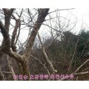 이미순농장 이미지