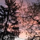 특별해짐 이미지