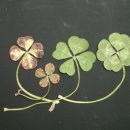 뒷뜰이예쁜집 이미지