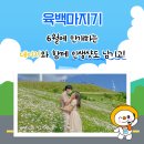 산나물 도시락 코스 이미지