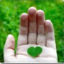 인성태권도 이미지