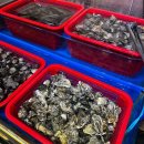 (주)오른푸드시스템 이미지