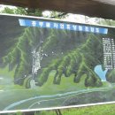 흥부골자연휴양림 이미지