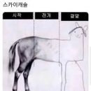 리얼플레이스 네이버블로그