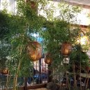 난다고래 | 신매역 맛집 난다고래, 분위기 좋은 사월역 이자카야 추천