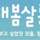 봄;살롱 이미지