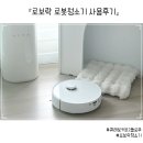 회색냥이네 | S10 MAX V 제치고 큐레보커브 선택한이유 ㅣ 내돈내산 로봇청소기 찐사용후기