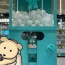 내당정육 이미지