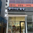 평촌꽃집 향기나는 꽃집 레터링 생일 꽃바구니 두번째 방문후기