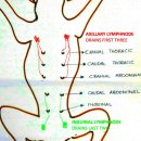 석수동물병원 이미지
