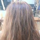 헤어고고 이미지