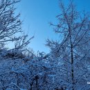 1172 | 오지산행후기(1172차) 도계산행 2024.02.16(금)