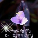 지금 고백합니다 / 내가 말했잖아 / 당신께만(드럼) / 채연-한사람 이미지