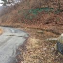 산림기술사사무소녹색