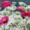 남동족구장 이미지