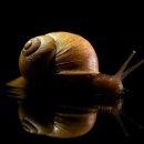 GPT골프레슨 이미지