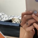 지움의원 이미지