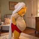 베트남 당구장 | [27주차 태교여행 #1] 베트남 달랏 내돈내산 여행 기록 1일차 '테라코타 달랏, 넴느엉 푸엉, 스틸 카페...