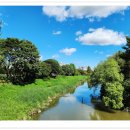 장자호수생태공원 이미지