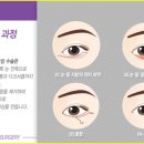 내야지 이미지