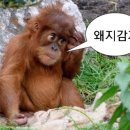 나도 파워블로거 이미지