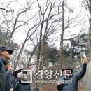 권호욱 | 추사 고택·화암사