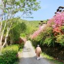 송악민박 이미지