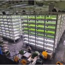 채수민농장 이미지