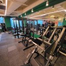 진빼이짐 이미지