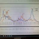 10윌21일 2025년도 개화기조사뉴계 새연강(11300개)자명(6878)삼일홍(7715) (6윌29일 ㅡ10윌15일) 그림 24년대비 이미지