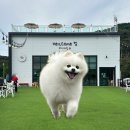 헤이커멍 이미지