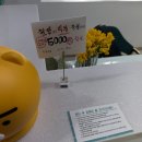 세종 보람동 왁싱 추천 , 브라질리언왁싱 추천 ✔️ 뷰티애비뉴 ✔️